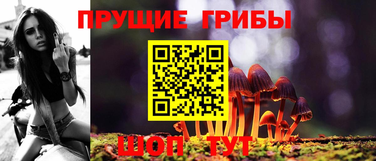 Псилоцибиновые грибы Psilocybe  Вход с VPN  Лысьва 